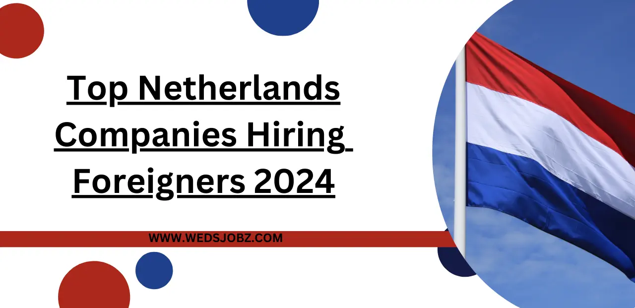 Top Netherlands Companies Hiring Foreigners Oct 2024