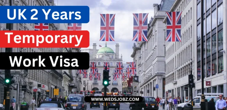 UK 2 Years Temporary Work Visa Nov 2024: Types, Eligibility & Application Process