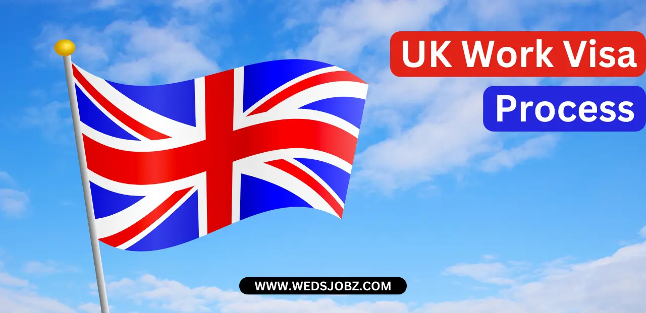 UK Work Visa Process November 2024: Step by Step Guide