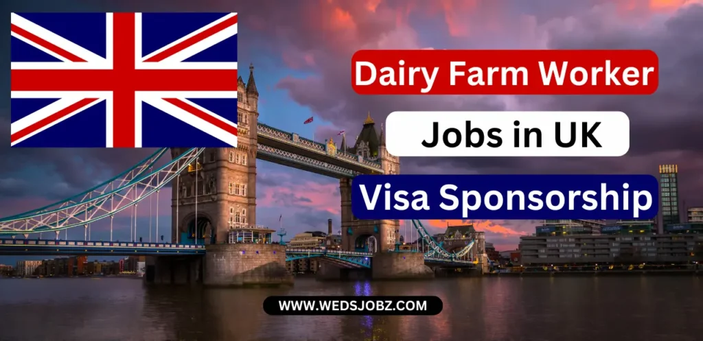 Dairy Farm Worker Jobs in UK Visa Sponsorship