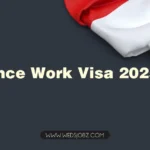 France Work Visa Process 2025 – Types of Visa